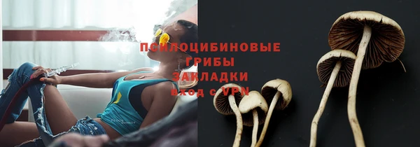 ГАЛЛЮЦИНОГЕННЫЕ ГРИБЫ Алзамай